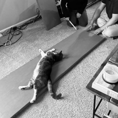 Disassembly Required