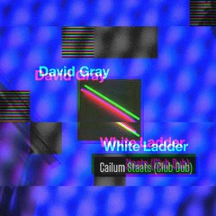 David Gray - Please Forgive Me (Cailum Staats Club Dub) free dl
