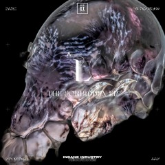 ^L_ - Don't Listen To This Track [II220D]