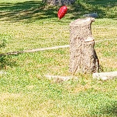 #📚 SLUT#iii #☝️ gfdody6 // stra#iiitjakket