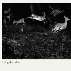 flying dear deer
