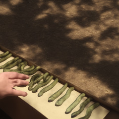 22-01-14-simple-plan