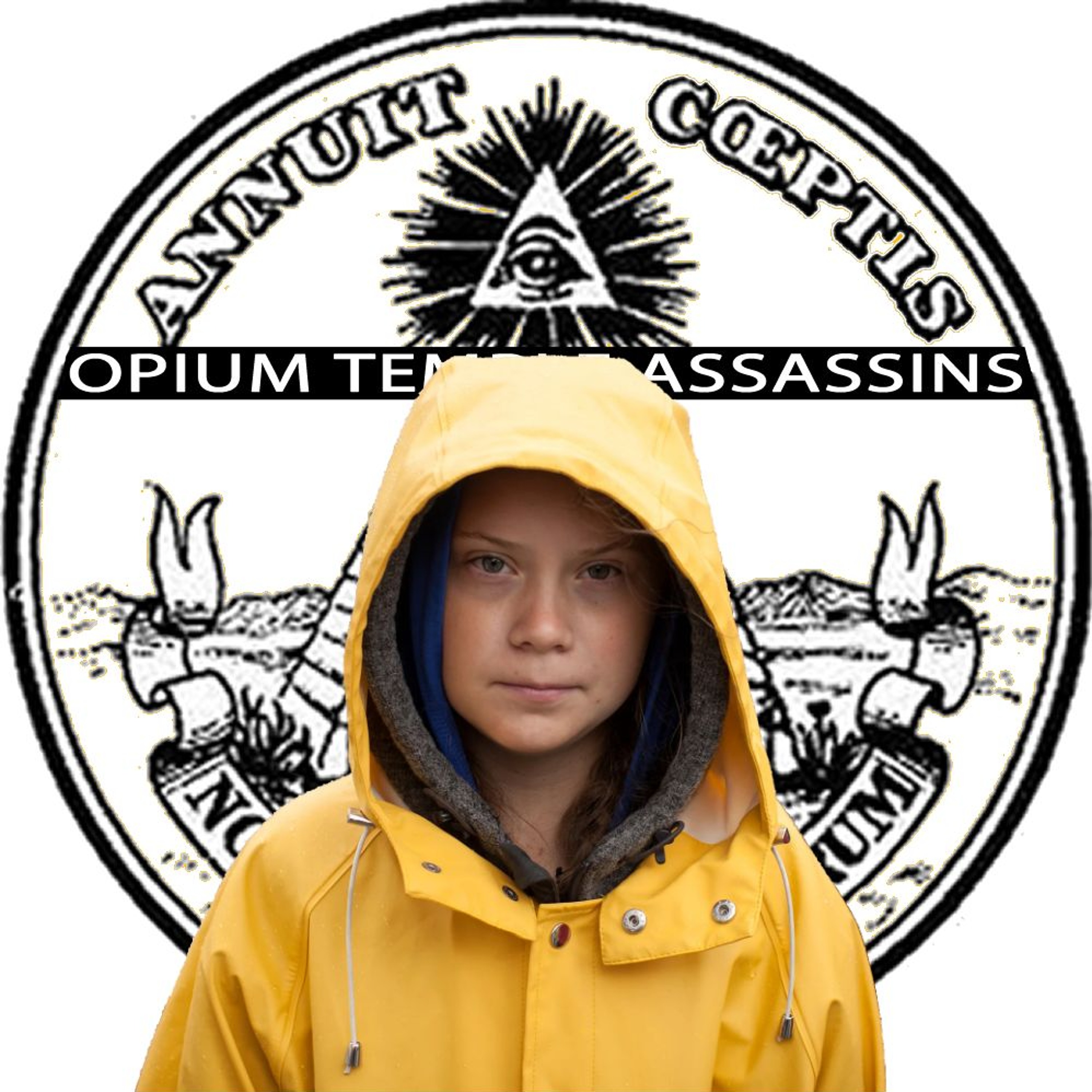 Track cover
