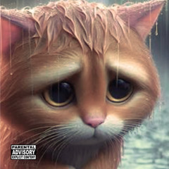 Meow Meow - (prod.m4rio)