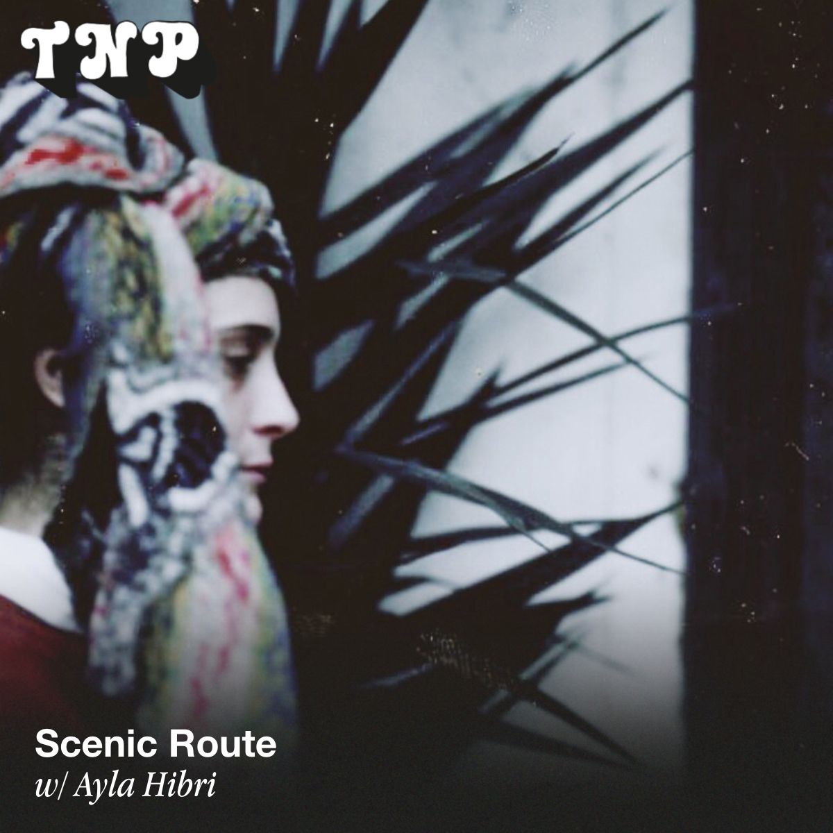 Scenic Route w/ Ayla Hibri