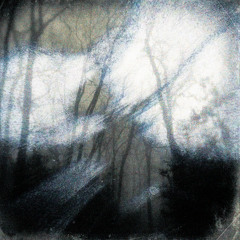 your shattered promises