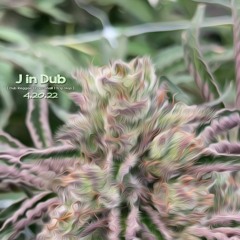 J in Dub - 4.20.22 (Dub Reggae | Dancehall | Trip Hop)