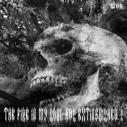WITHOUT A REASON - The Fire In My Soul Has Extinguished 2 (prod. Donnie Katana)