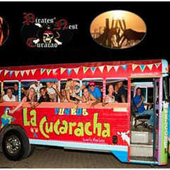 Review Special Price Curacao Dinner Fun And Nightlife Tour