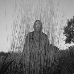 Drifting through the haze, one might decide to focus on the garden’s shed