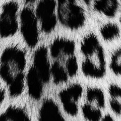 Moin Sherani | Shna Bangri Pa Las Gora.mp3