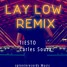 Lay Low - tiesto ft Carles Souza (Remix)