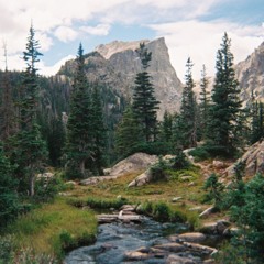 terra