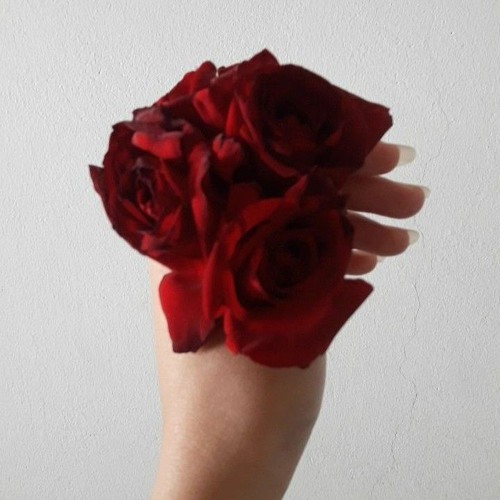 کبوترم هوایی شدم