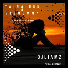 DjLiamz X Taina Gee & Big Momma -Do U Feel Da Same