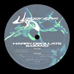 PREMIERE: Harry Oscillate - Mid Flight [LL30-001]