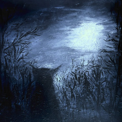 Bubo Bubo in the Dark