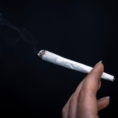 Cannabisverbote haben nur wenig Einfluss auf den Konsum