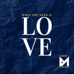 WHAT YOU NEED IS LOVE  VOL.5