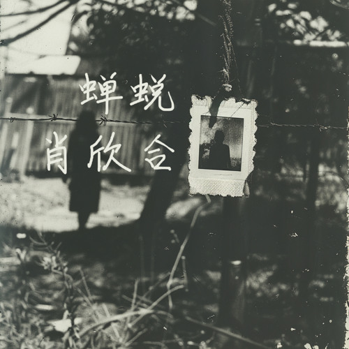 伤痕