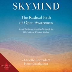 Stream Shambhala Publications | Listen to Manual of Standard