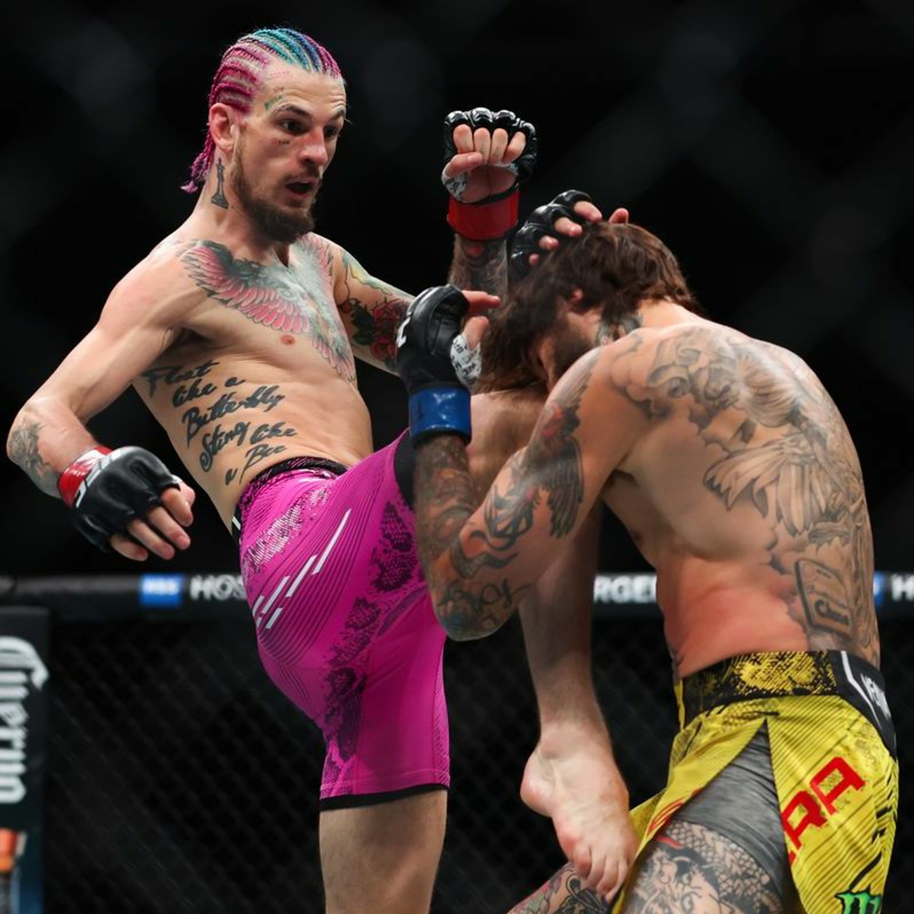 HTHB Shoulder Strikes MMA Podcast Ep. 172: "19-0" with Matt McSweeney and Ty Capone thumbnail