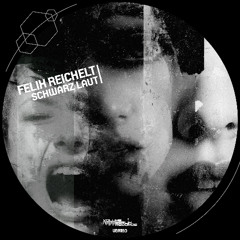 Felix Reichelt - Schwarz Laut (Extended Mix)