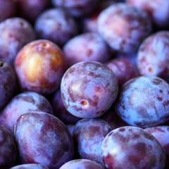 Plommon (feat. LILMINER & The Hose)