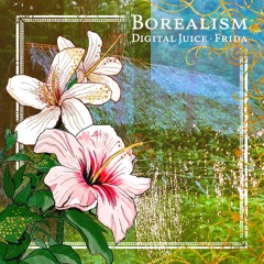 Borealism - Digital Juice & Frida