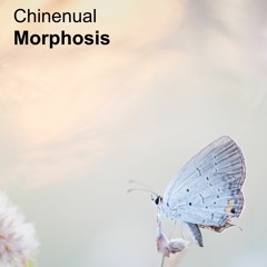 Morphosis [naviarhaiku503]