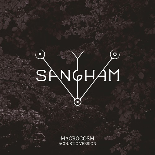 Macrocosm (Acoustic Version)