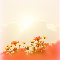 Middle Of The Light Now