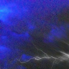 storm (p. woodpecker)