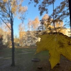 Синдром 4.mp3