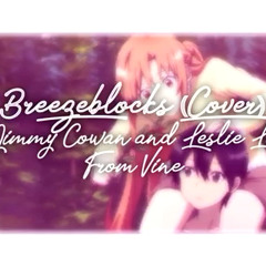 Breezeblocks (cover) by Jimmy Cowan and Leslie Laine [Whitout Cut] [Extended Version]