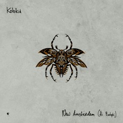 kotokid - 'New Amsterdam ft Bahghi'
