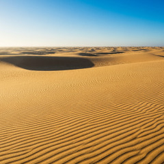 Empty Quarter