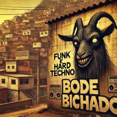 Funk Hard Techno e Putaria