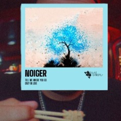 Noiger Tell Me Where You Go rizzo remix