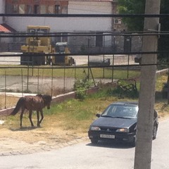 2 //  I  U. part II.