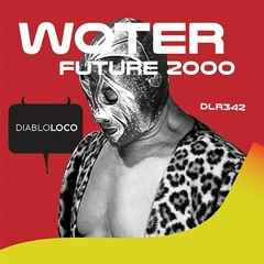 DLR342 WoTeR-Future 2000