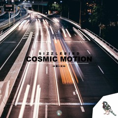 Cosmic Motion