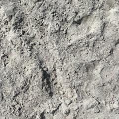 Never Enough - Outro (Part 8) ❊