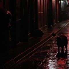 Sombre nuit