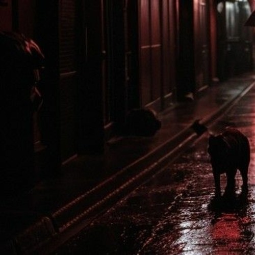 Sombre nuit
