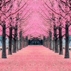 Wiz Khalifa x Billie Eilish  Silver Tears (Official Music Release).mp3