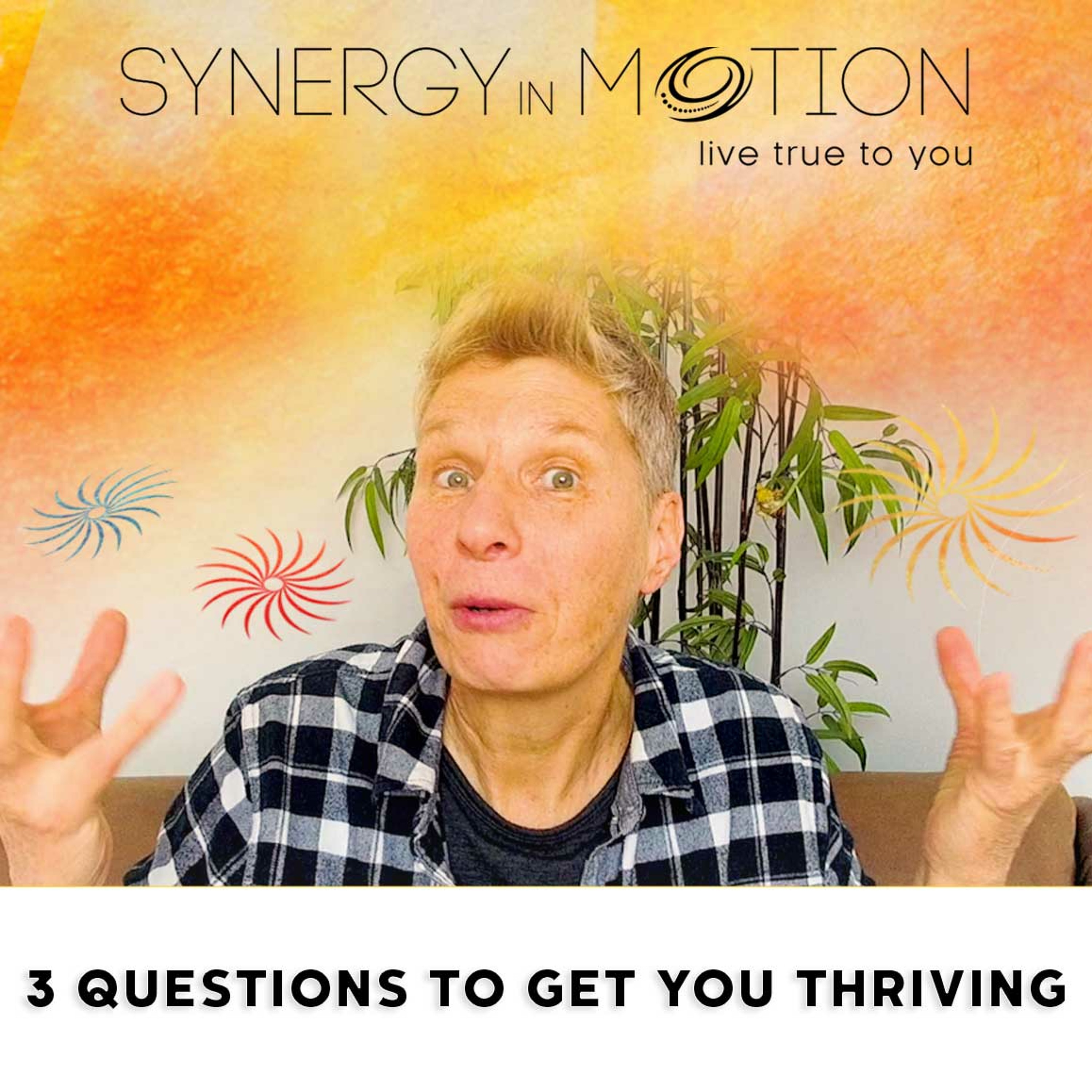 3 Questions To Get You Thriving episode artwork