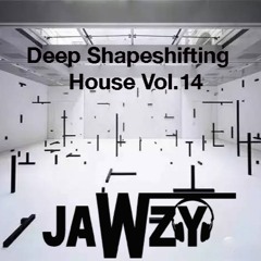 Deep Shape Shifting House 14