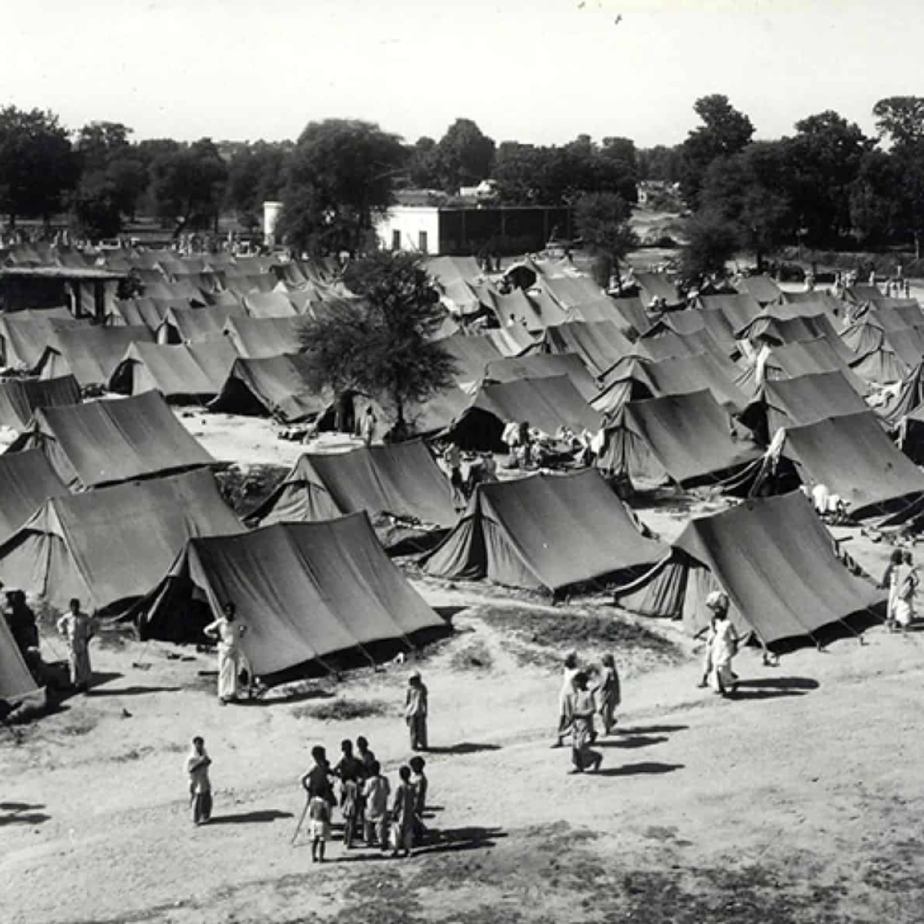 #TEOEE (The Echo Of Extreme Experiences) --- SynTalk