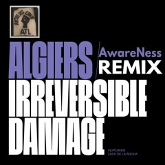 Algiers - Irreversible Damage Remix